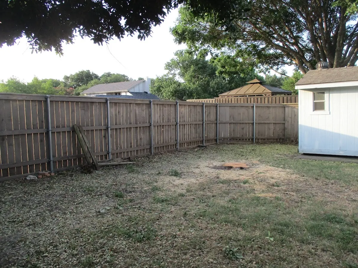 Cleared yard after professional tree removal in Rushland